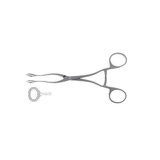 Collins Tongue Seizing Forceps - ddpeliteusa