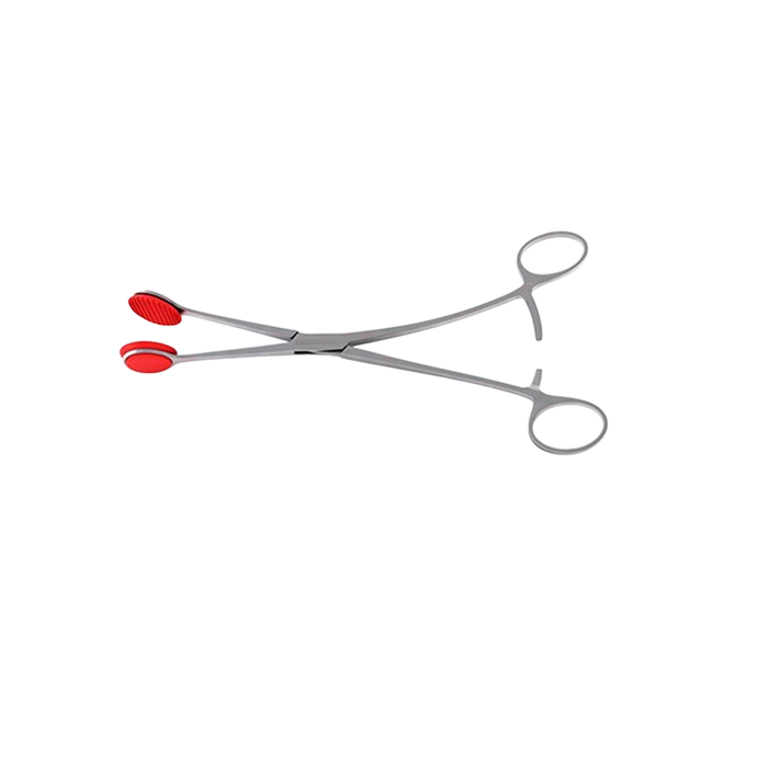 Young Tongue Seizing Forceps - ddpeliteusa