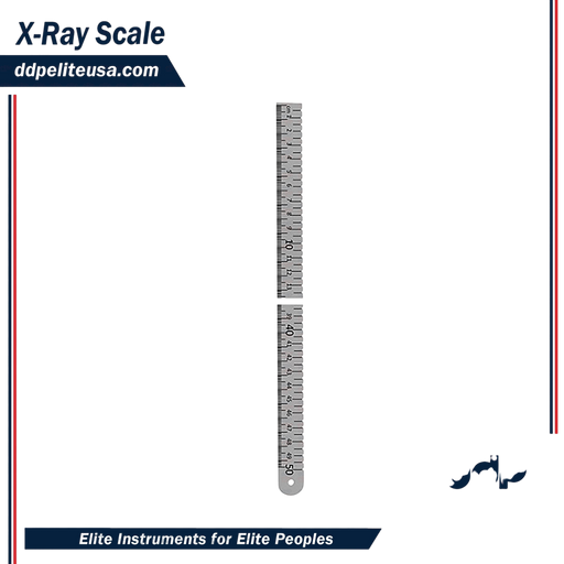 X-Ray Scale - ddpeliteusa