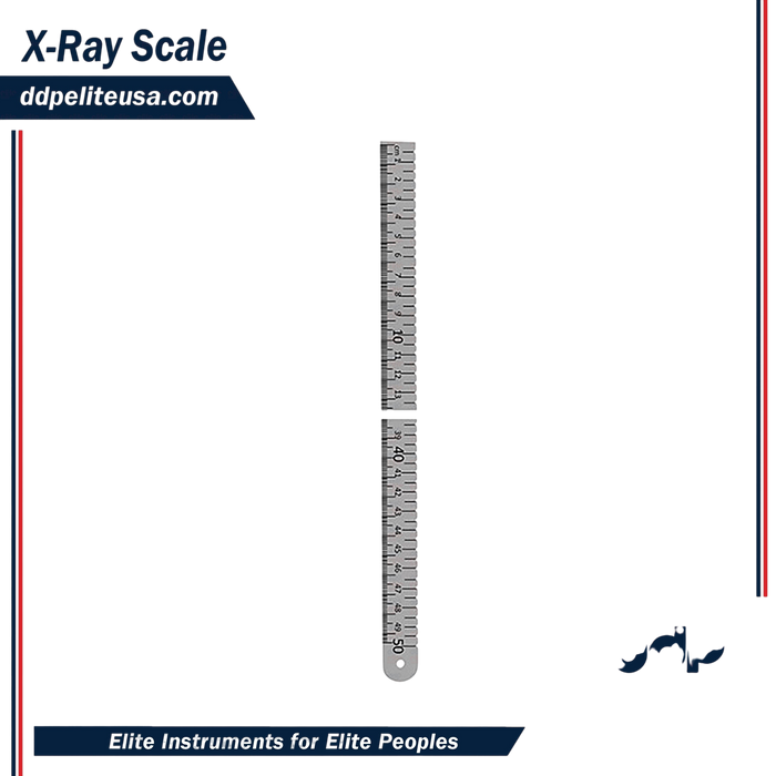 X-Ray Scale - ddpeliteusa