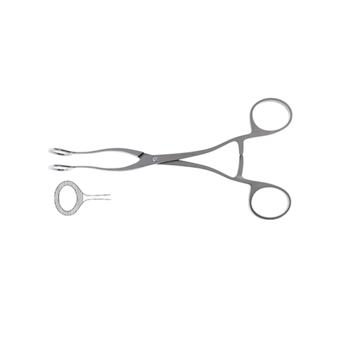 Collins Tongue Seizing Forceps - ddpeliteusa