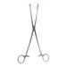 FOERSTER SPONGE FORCEPS 9.5"  STR SERR