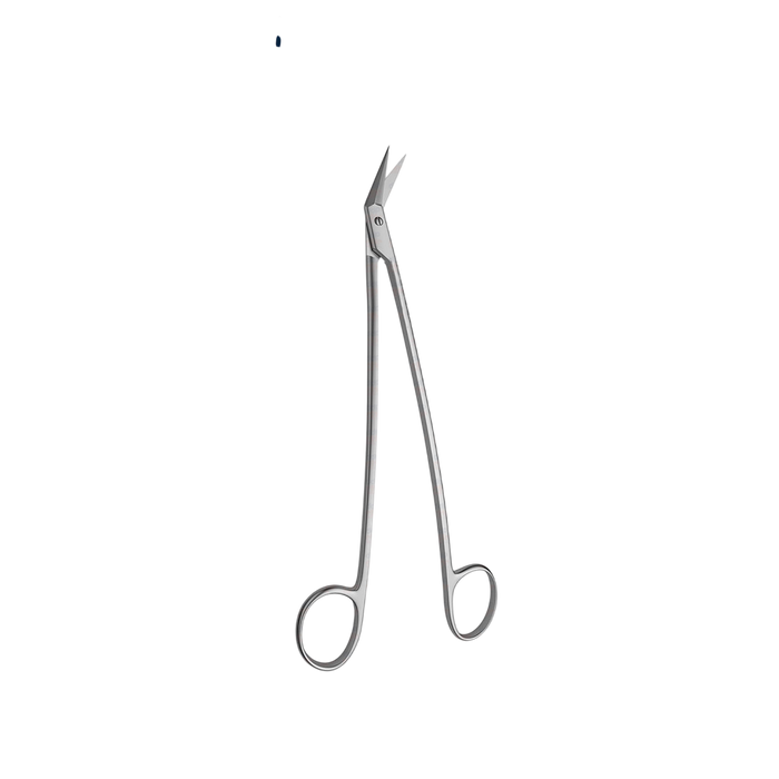 Converse Dorsal Scissors - ddpeliteusa