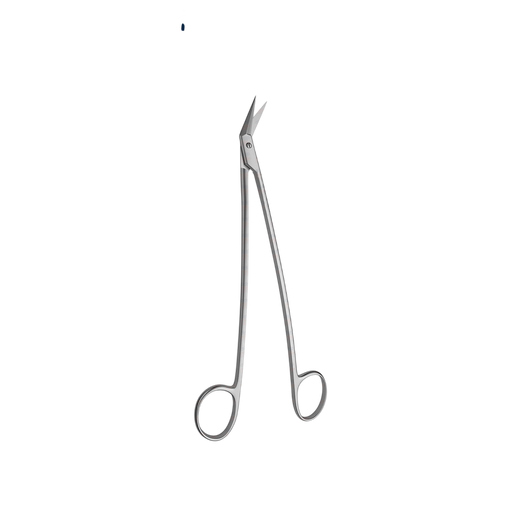 Converse Dorsal Scissors - ddpeliteusa