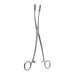 9 1/2" Fletcher Forceps, Curved