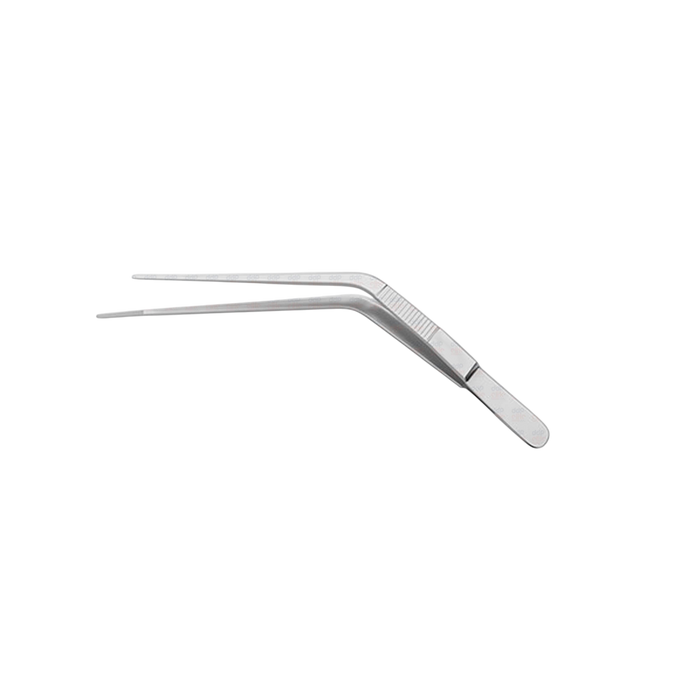 Blake Endaural Forceps - ddpeliteusa