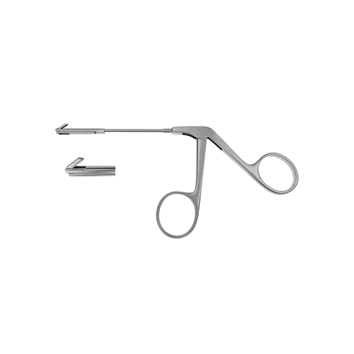 Adult Backbiting Antrum Punch - ddpeliteusa