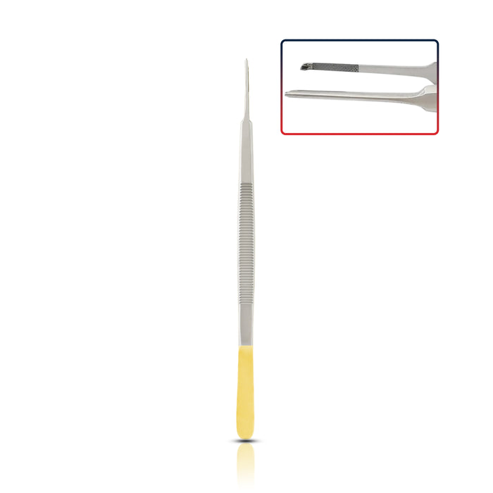 Tissue Forceps with Carbide Tip Serrated 7" Gold Color Handle