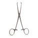 ALLIS TISSUE FORCEPS 4x5 TEETH 6"