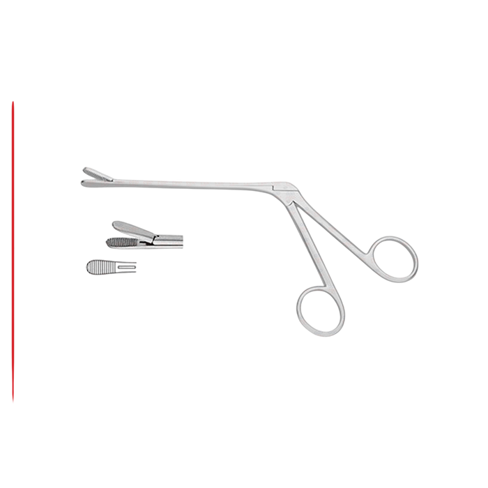 Blakesley Septum Forceps - ddpeliteusa