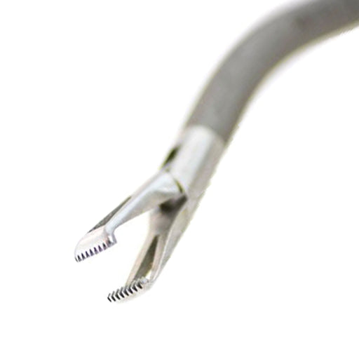 Storz Angled Fenestrated Allis Forceps S/A, Spring Handle