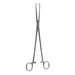 11 1/4" Allis-Willauer Forceps with 5x6 Teeth
