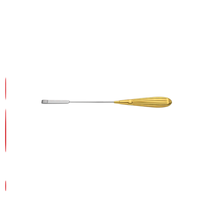 Glabella Rasp - Tungsten Carbide - ddpeliteusa