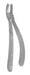Extraction Forceps 017E