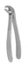 Extraction Forceps 033E