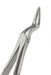 Upper Root Tip Forceps FX97