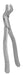Upper Molar Right Forceps 53R