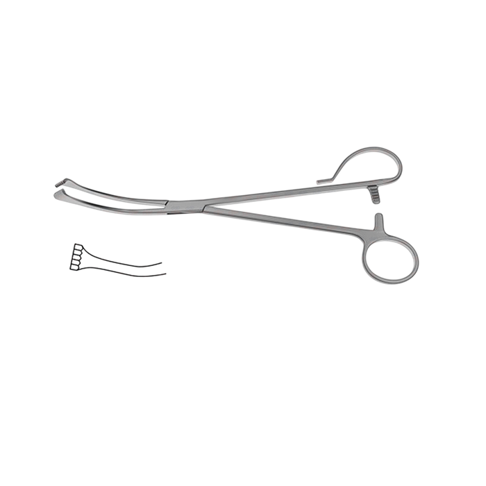 White Tonsil Seizing Forceps - ddpeliteusa