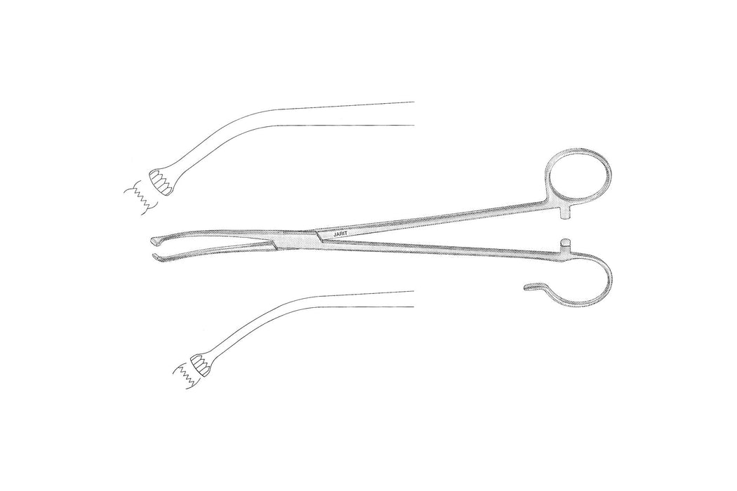 White Tonsil Seizing Forceps 18cm