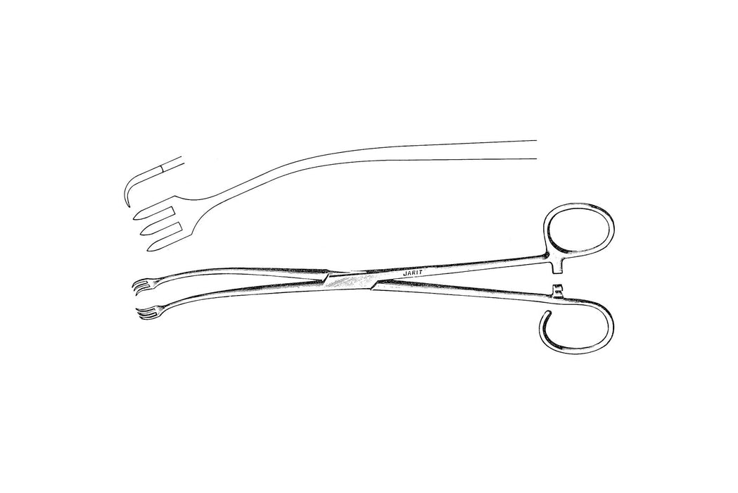 Larsen Tendon Seizing Forceps, 10cm