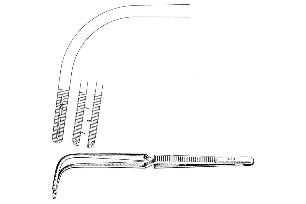 Jackson Tampon Forceps 22 cm