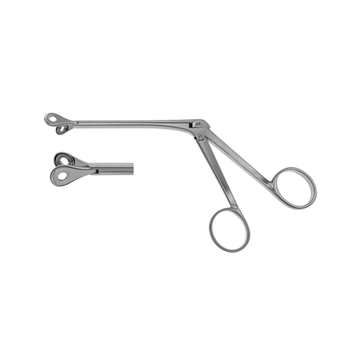 Lewis Septum Forceps - ddpeliteusa