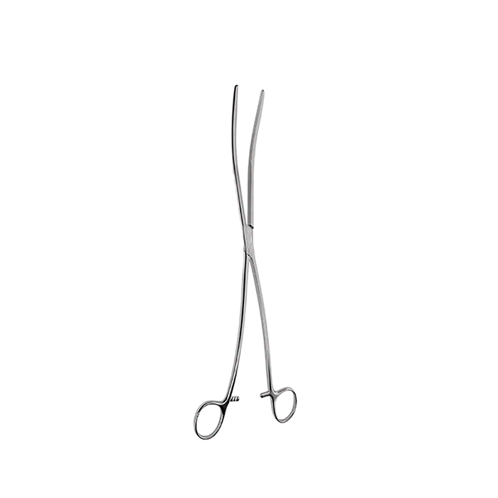 Bozeman Sponge & Uterine Dressing Forceps - ddpeliteusa