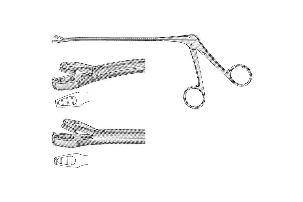 Wittner Biopsy Forceps Curved 23cm, 4x8mm