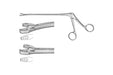 Wittner Biopsy Forceps Curved 23cm, 4x8mm