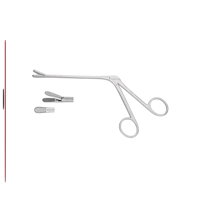 Blakesley Septum Forceps - ddpeliteusa