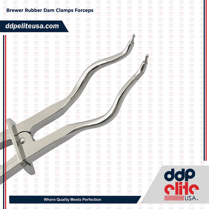 Endodontic Brewer Rubber Dam Clamps Forceps