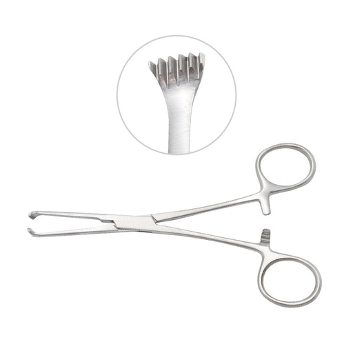 Lerche Tissue Forceps 5x6 Teeth 15cm