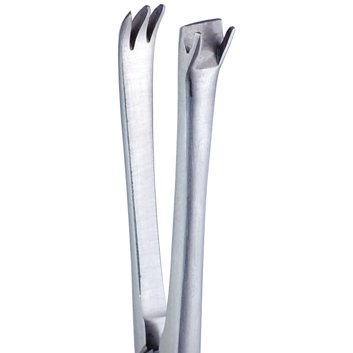 D'ASSUMPCAO FACE LIFT FORCEPS