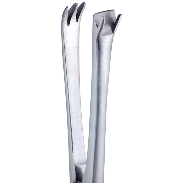 D'ASSUMPCAO FACE LIFT FORCEPS