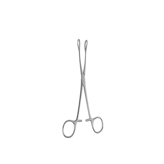 Foerster (Ballenger) Sponge Forceps - ddpeliteusa