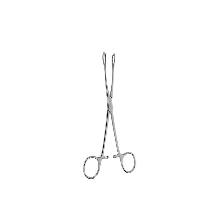 Foerster Sponge Forceps - ddpeliteusa