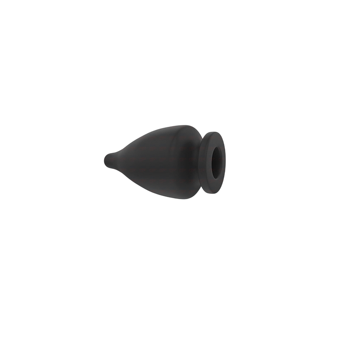 Acorns - ddpeliteusa