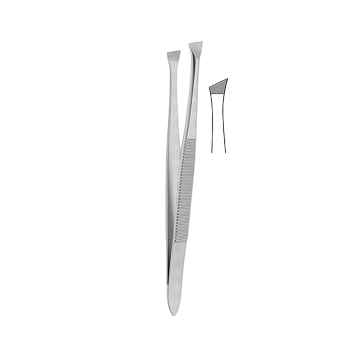 Bergh Cilia Forceps - ddpeliteusa