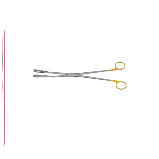 Bierer Ovum Forceps 