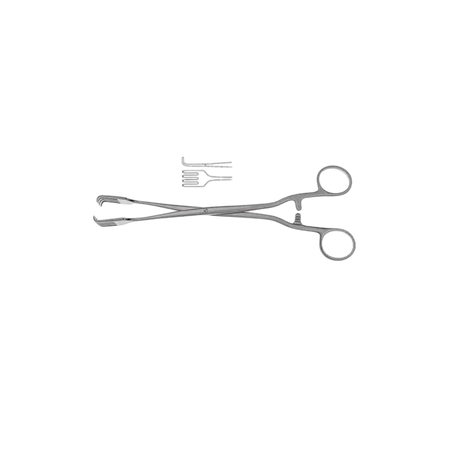 Billroth Vulsellum and Tumor Seizing Forcep