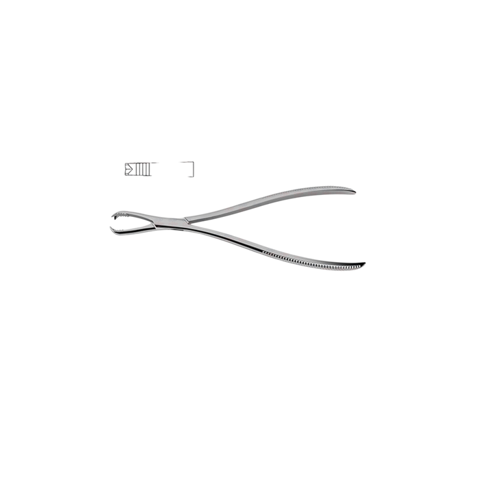 Bone Holding Forceps - ddpeliteusa
