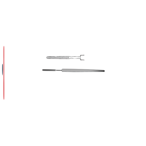 Bone & Skin Rasp - ddpeliteusa