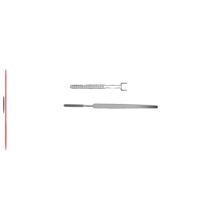Bone & Skin Rasp - ddpeliteusa