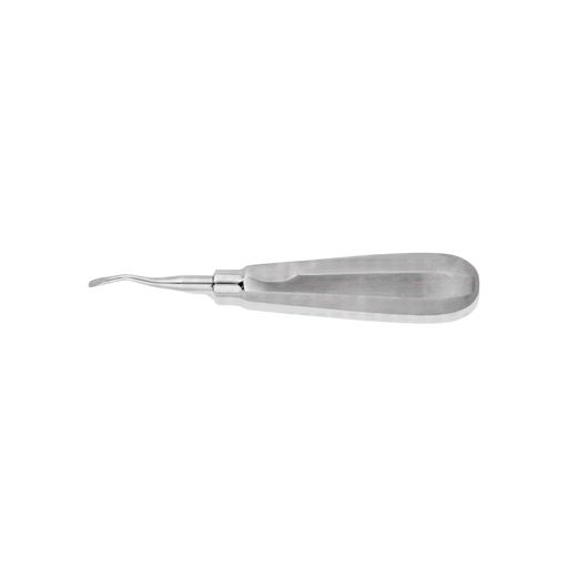 Elevator #77R, Angled, Regular Flared, Mesial, Serrated - ddpeliteusa