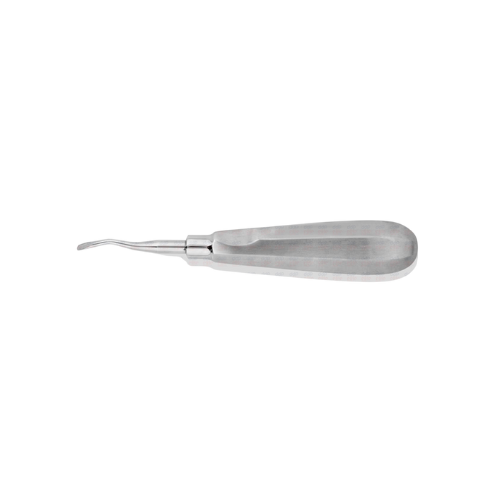 Elevator #77R, Angled, Regular Flared, Mesial, Serrated - ddpeliteusa