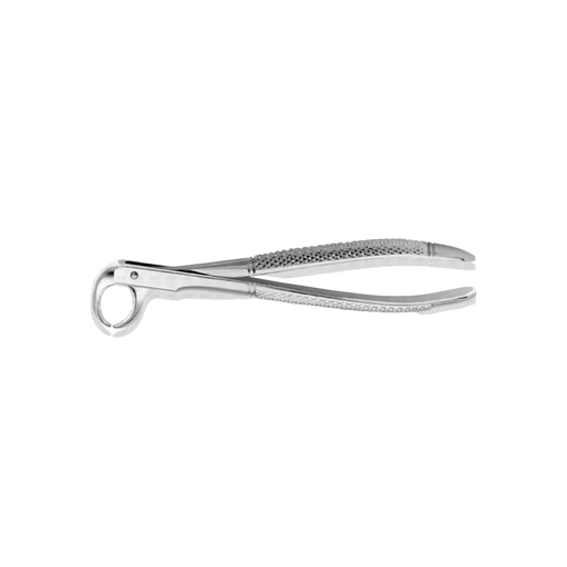 English Pattern Lower Molar Cowhorn Forceps #86C - ddpeliteusa