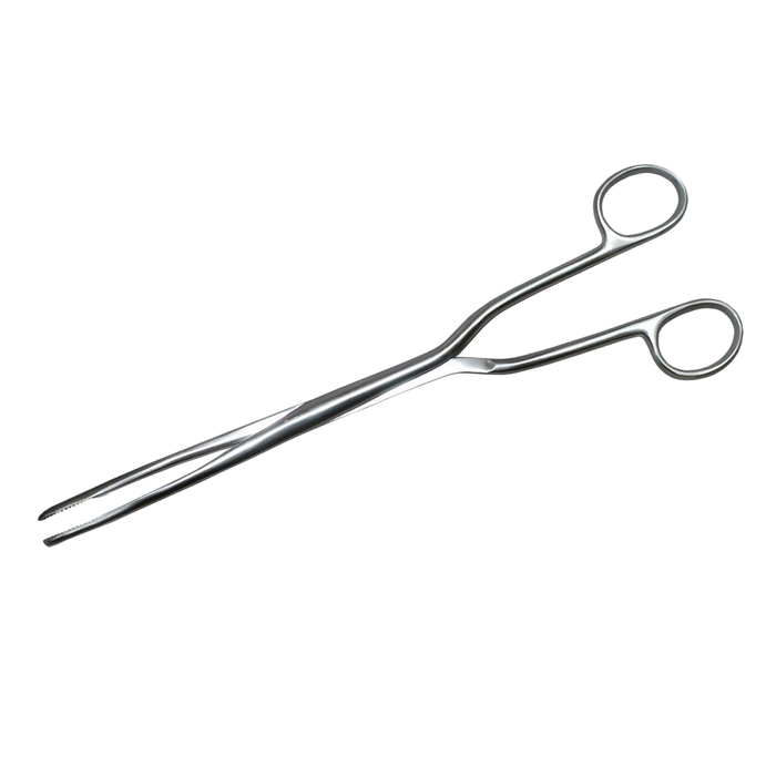 Hern Ovum Evacuation Forceps