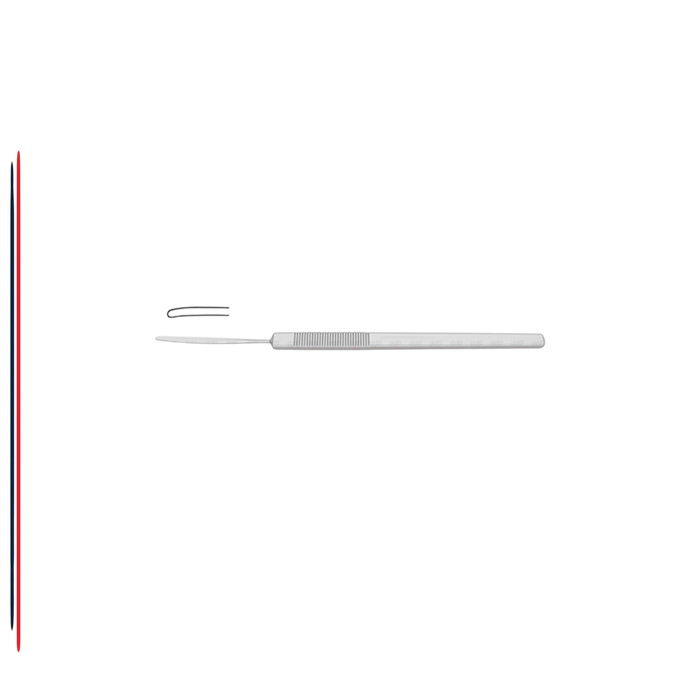 Iris Spatula - ddpeliteusa