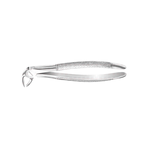 Lower Anterior English Pattern Forceps #13, Standard Open Beak - ddpeliteusa