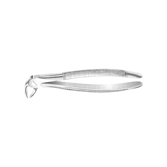 Lower Anterior English Pattern Forceps #13, Standard Open Beak - ddpeliteusa